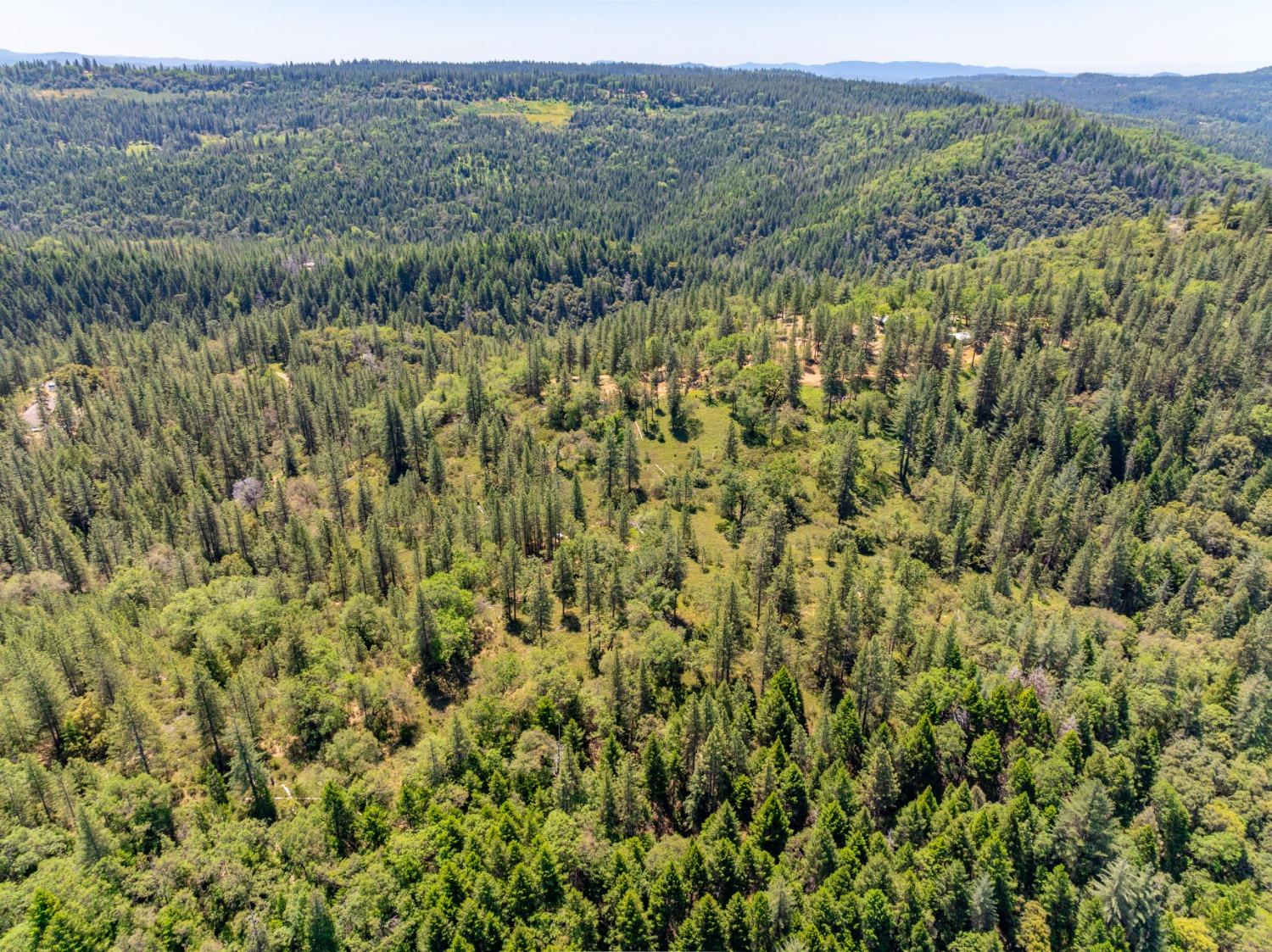 17050 Alicia Drive Volcano, CA 95689 - Photo 30 of 36 a view of a field with trees in the background
