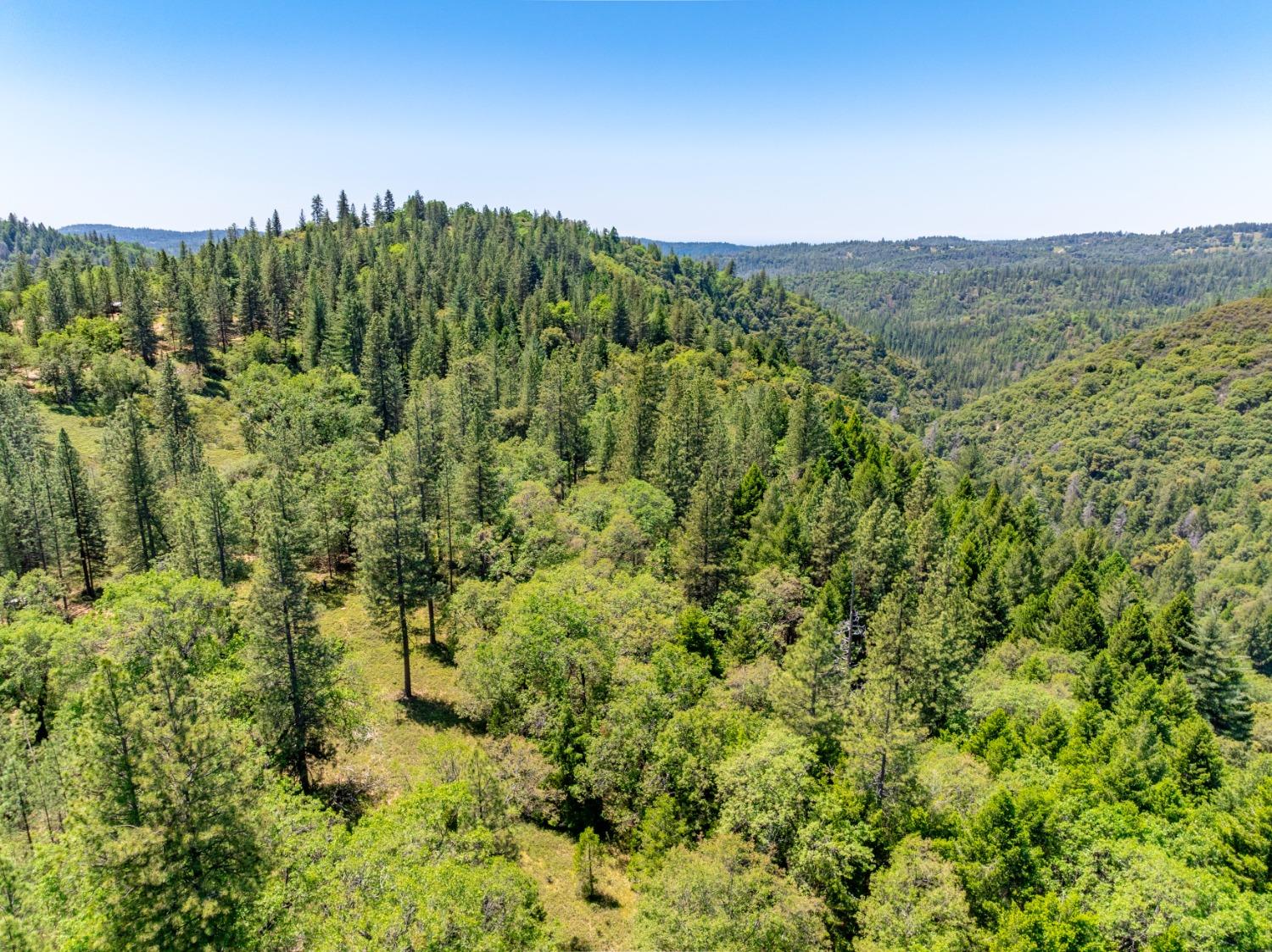 17050 Alicia Drive Volcano, CA 95689 - Photo 3 of 36 a view of a green field with lots of bushes