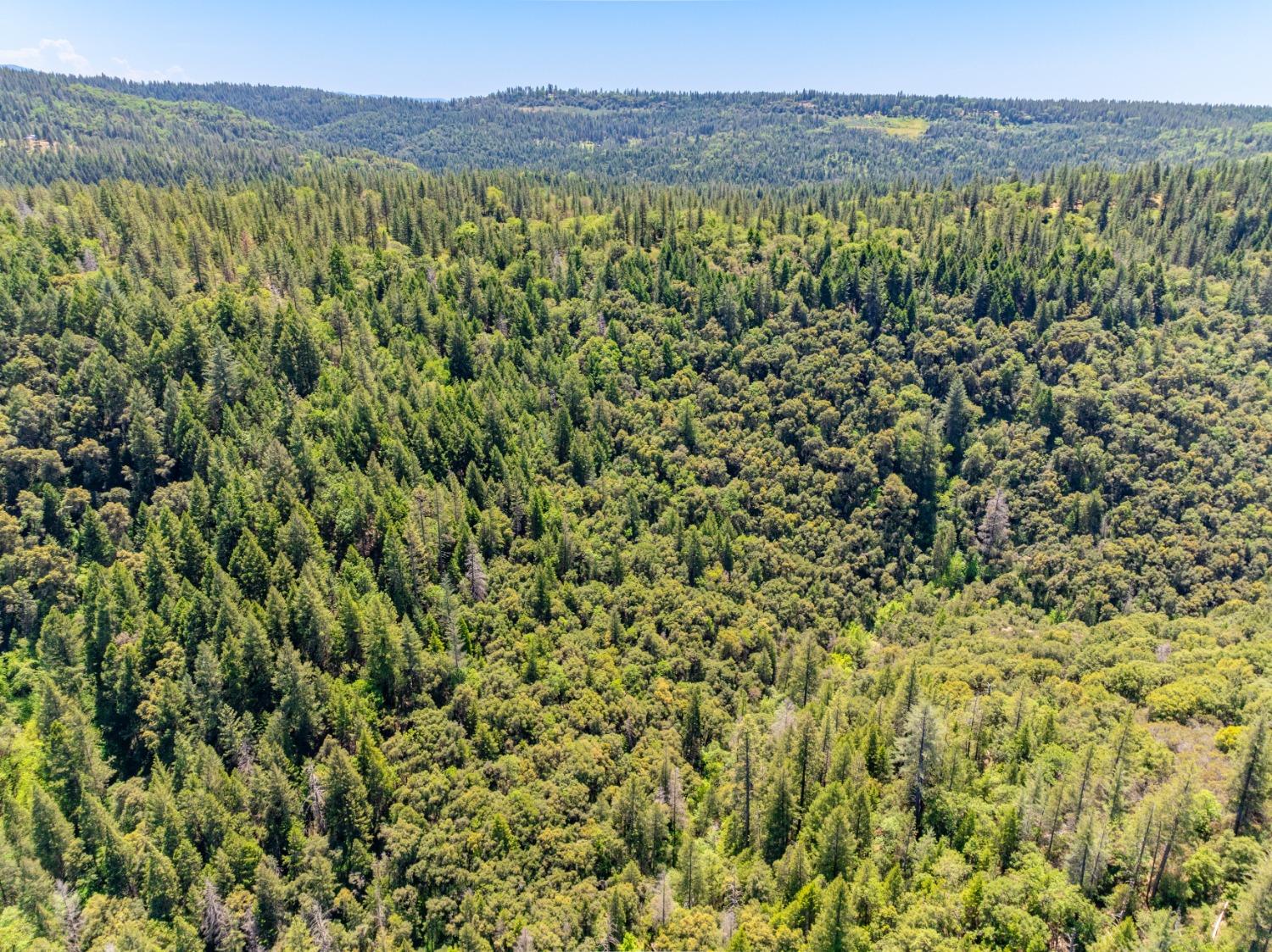17050 Alicia Drive Volcano, CA 95689 - Photo 33 of 36 a view of a lush green field with a mountain in the background