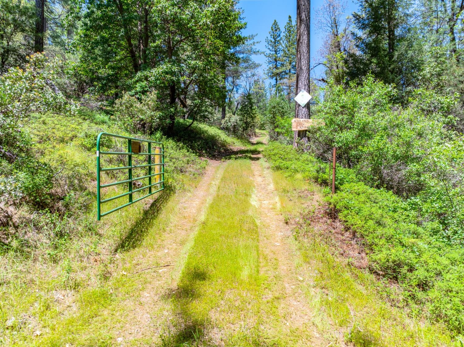 17050 Alicia Drive Volcano, CA 95689 - Photo 34 of 36 a view of swimming pool