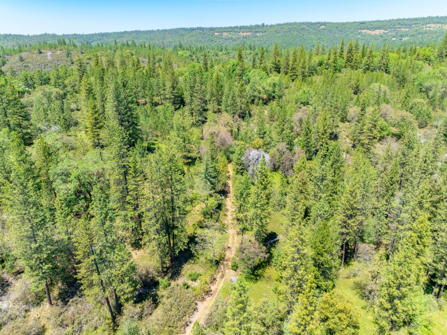 17050 Alicia Drive Volcano, CA 95689 - Photo 36 of 36 a view of a green field