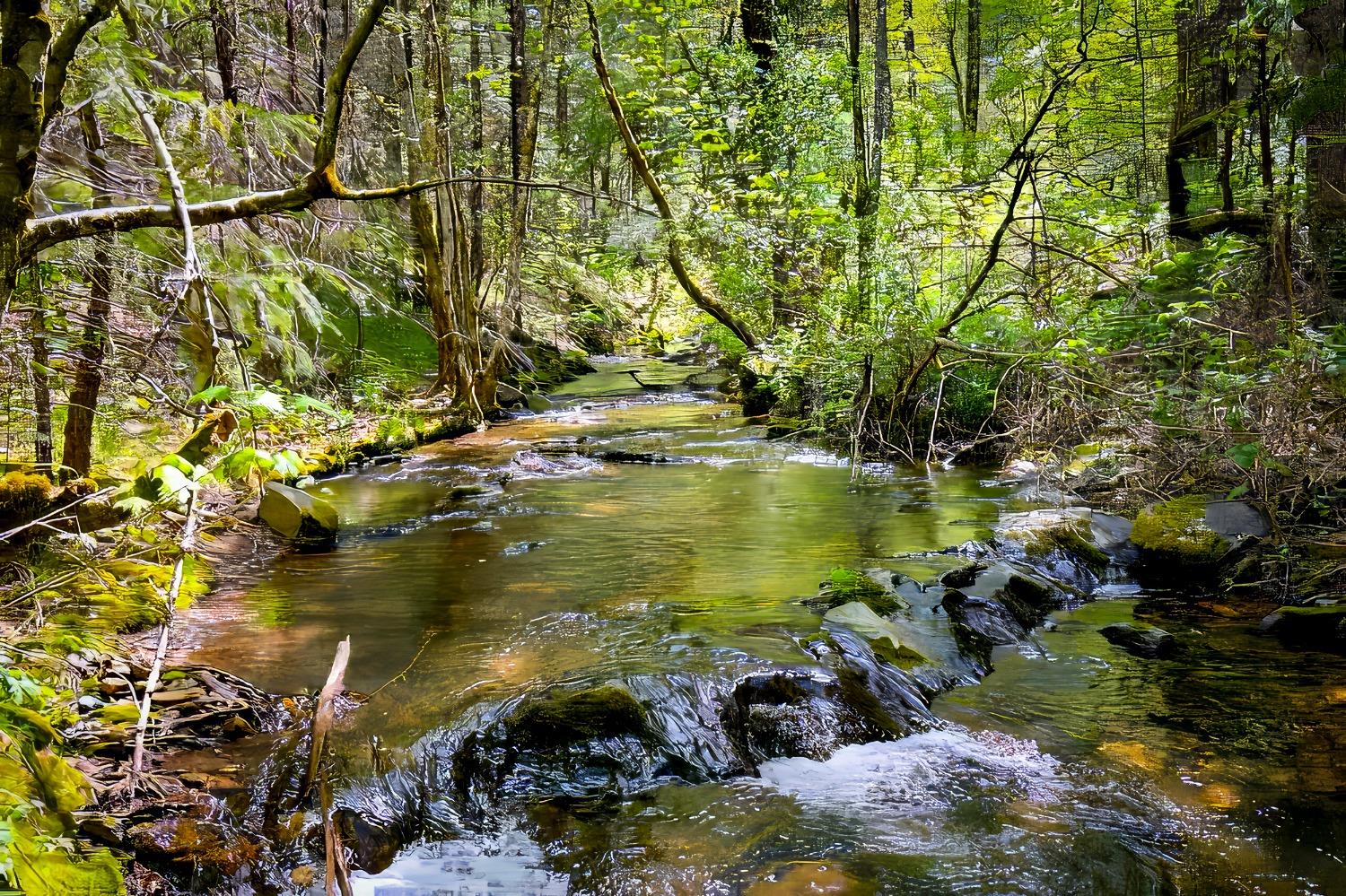 17050 Alicia Drive Volcano, CA 95689 - Photo 8 of 36 a view of lake