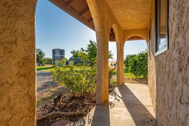 a view of backyard of the house