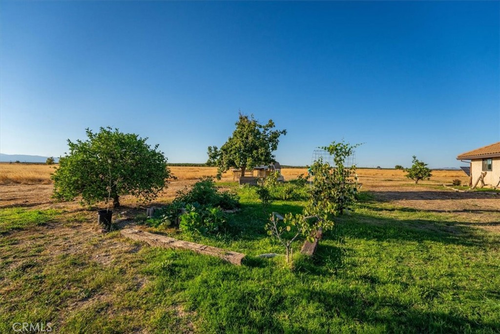 21550 Leaf Avenue Corning, CA 96021 - Photo 43 of 71 a view of a backyard of a house with a yard