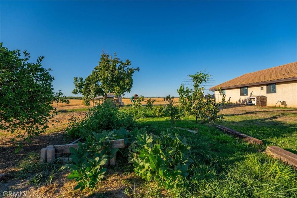 21550 Leaf Avenue Corning, CA 96021 - Photo 44 of 71 a view of a house with a yard