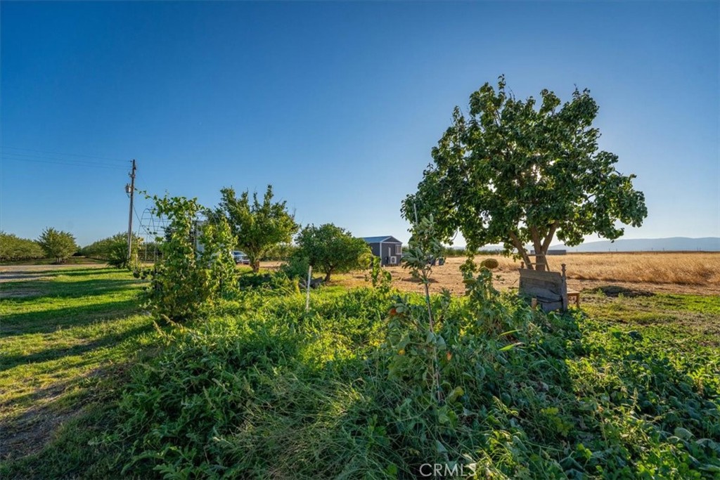 21550 Leaf Avenue Corning, CA 96021 - Photo 45 of 71 a view of a garden