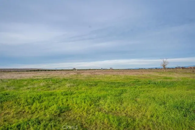 $599,000 | 21550 Leaf Avenue, Corning, CA 96021