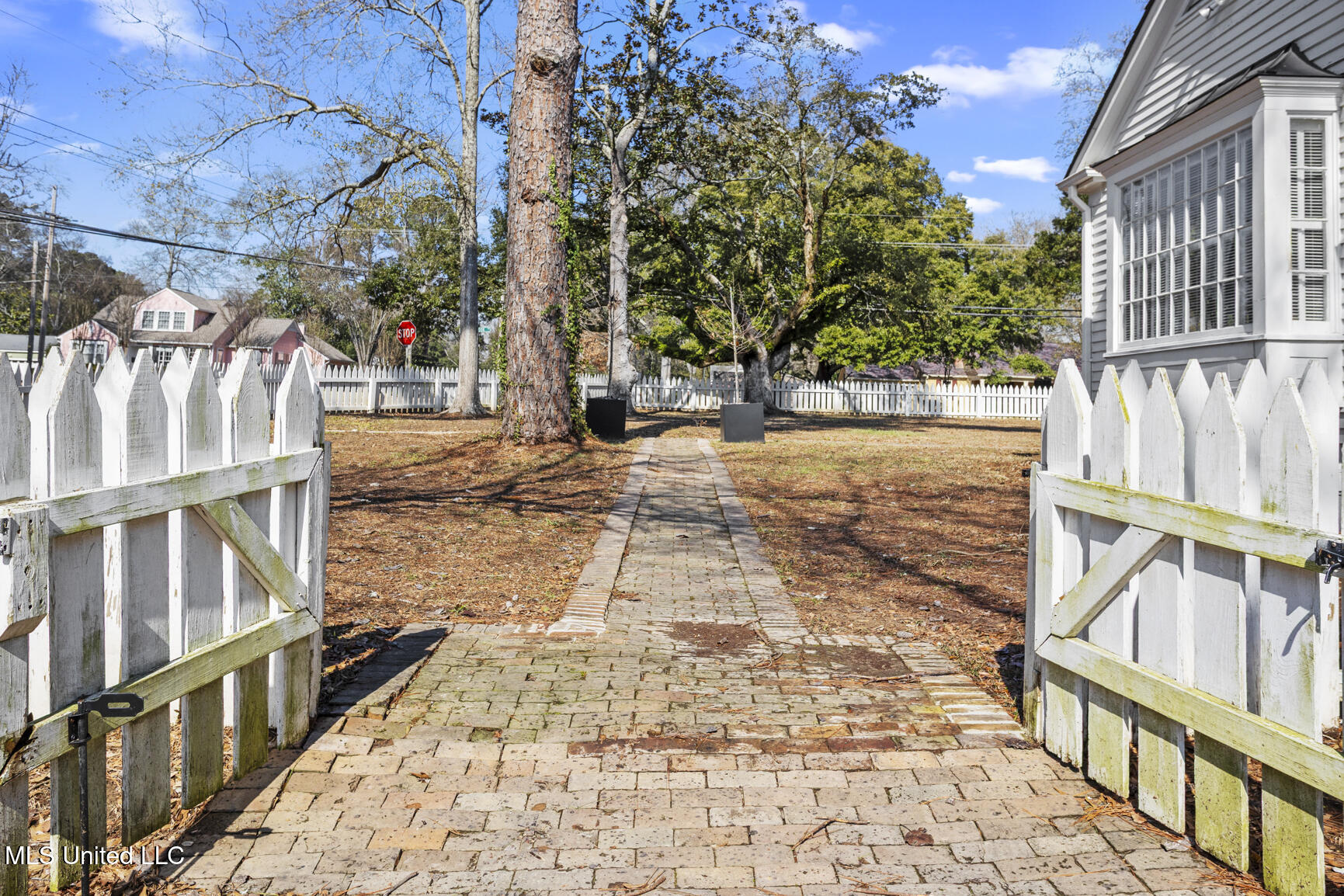 803 Meadowbrook Road Jackson, MS 39216 - Photo 7 of 86 Brick walk leading to front door