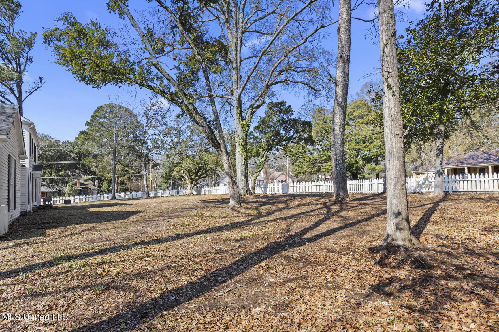 803 Meadowbrook Road Jackson, MS 39216 - Photo 80 of 86 Spacious Side Yard