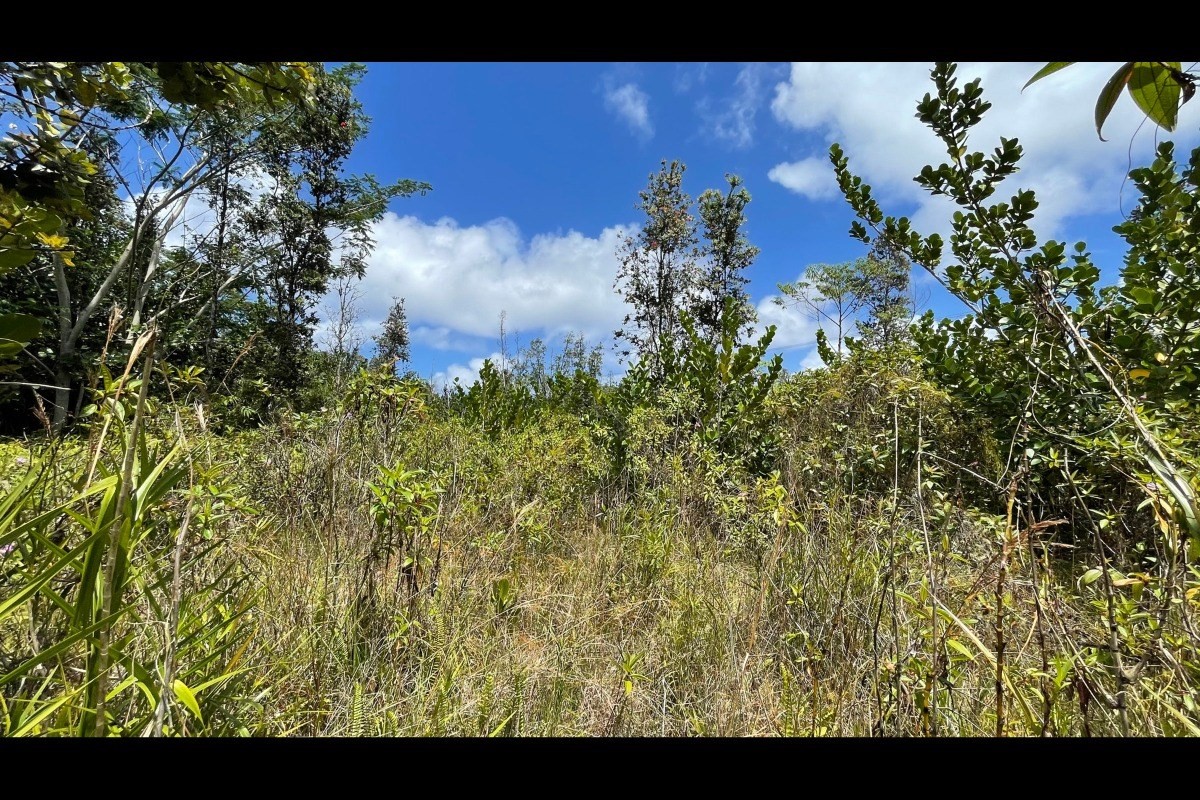 3091 Loke Road Keaau, HI 96749 - Photo 5 of 22 Gallery Image 5