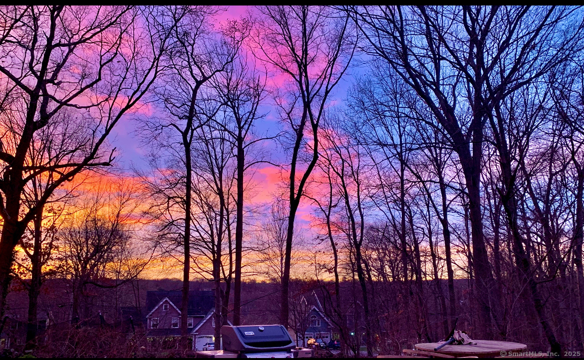 357 Harvester Road Fairfield, CT 06825 - Photo 10 of 10 a backyard of a house with trees and outdoor space