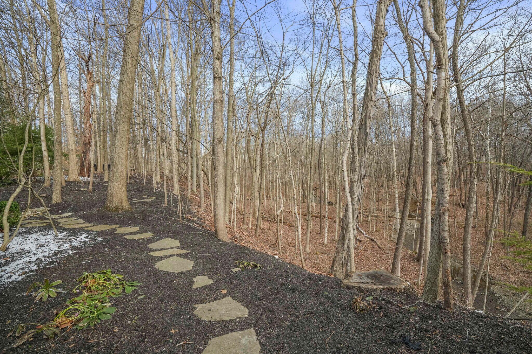 450 Shale Ridge Court Powell, OH 43065 - Photo 62 of 63 65-web-or-mls-DSC07117