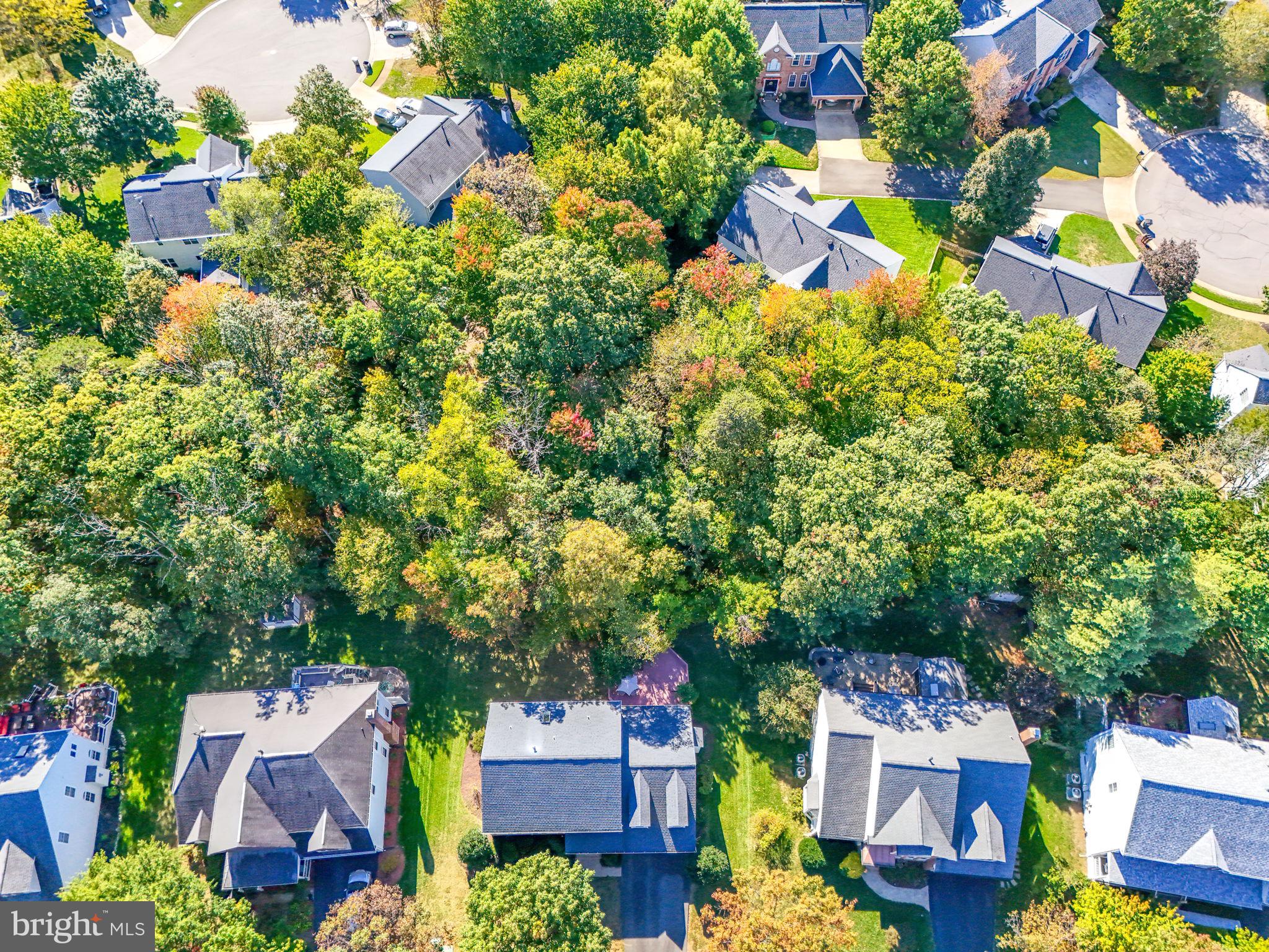 21507 Tithables Circle Broadlands, VA 20148 - Photo 59 of 64 an aerial view of multiple house