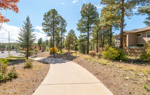 a view of a yard with trees