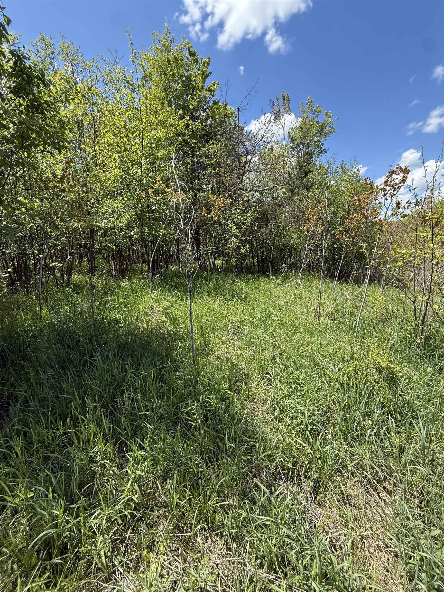 19 Mile Road Kingsley, MI 49649 - Photo 9 of 30
