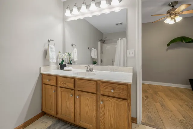 a bathroom with a sink vanity and a mirror