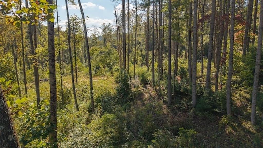 Lot 1 Twin Falls Road Northeast Merna, NE 68856 - Photo 9 of 38 Gallery Image 9