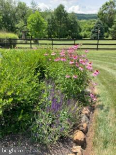 34410 Brownell Road Round Hill, VA 20141 - Photo 54 of 65 Gallery Image 54