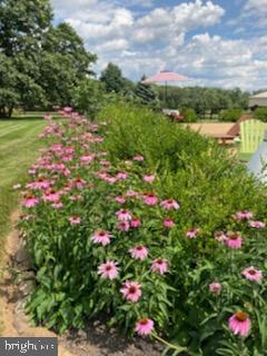 34410 Brownell Road Round Hill, VA 20141 - Photo 57 of 65 Gallery Image 57