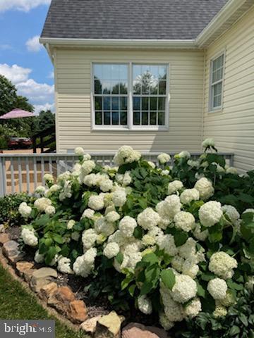 34410 Brownell Road Round Hill, VA 20141 - Photo 58 of 65 Gallery Image 58