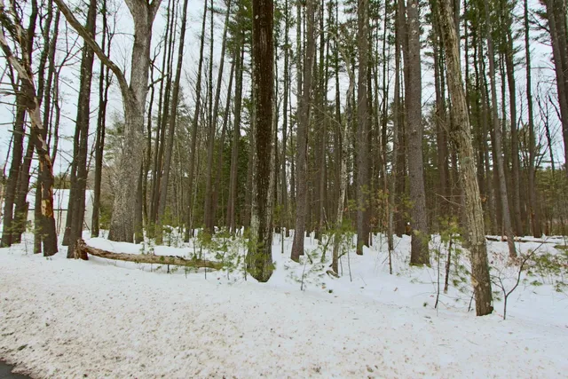 $975,000 | 101 Page Road, Litchfield, NH 03052