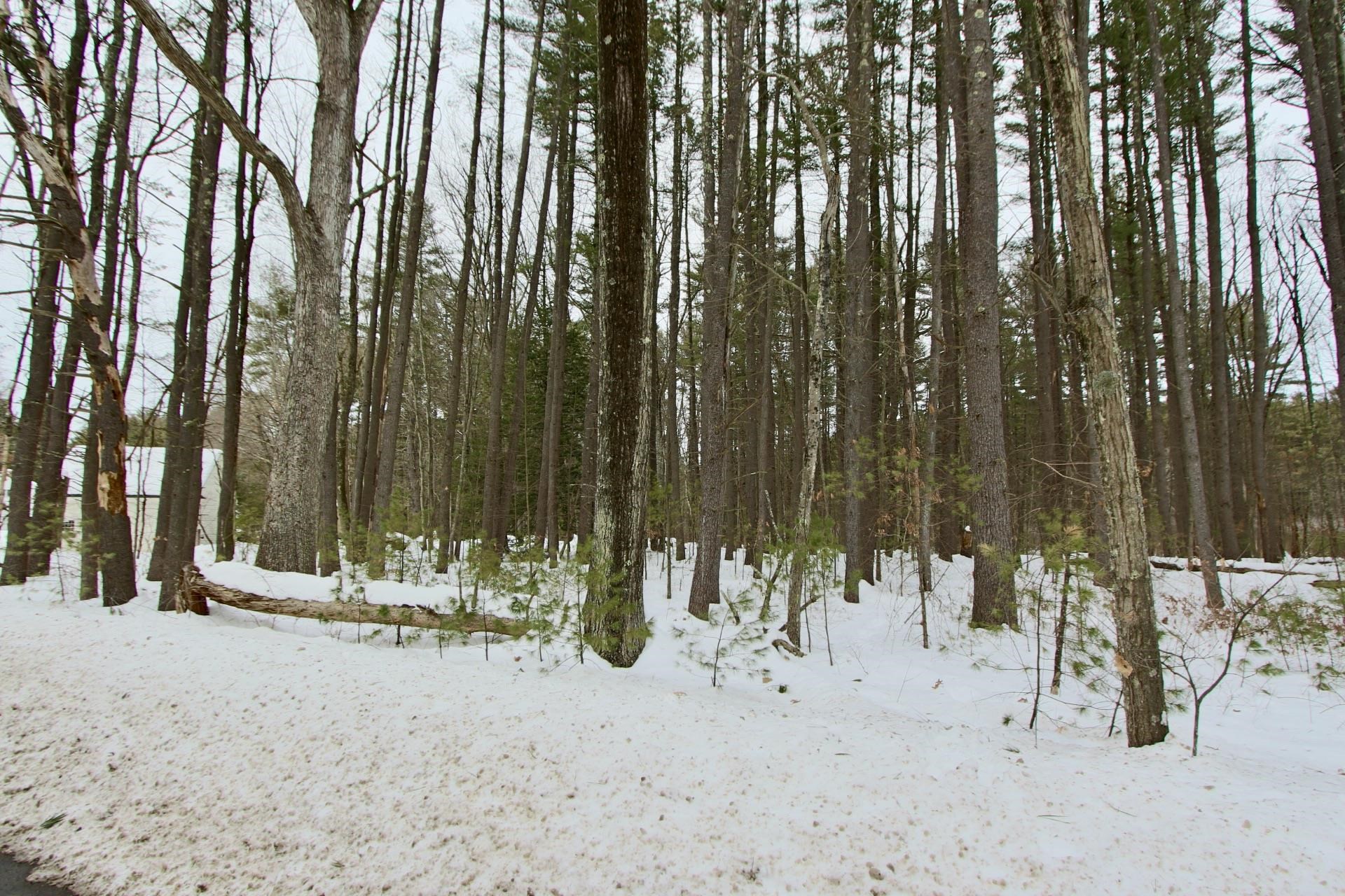 101 Page Road Litchfield, NH 03052 - Photo 23 of 24