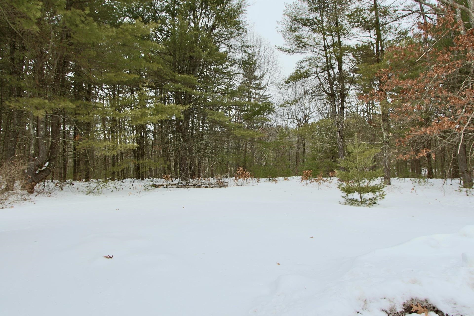 101 Page Road Litchfield, NH 03052 - Photo 5 of 24