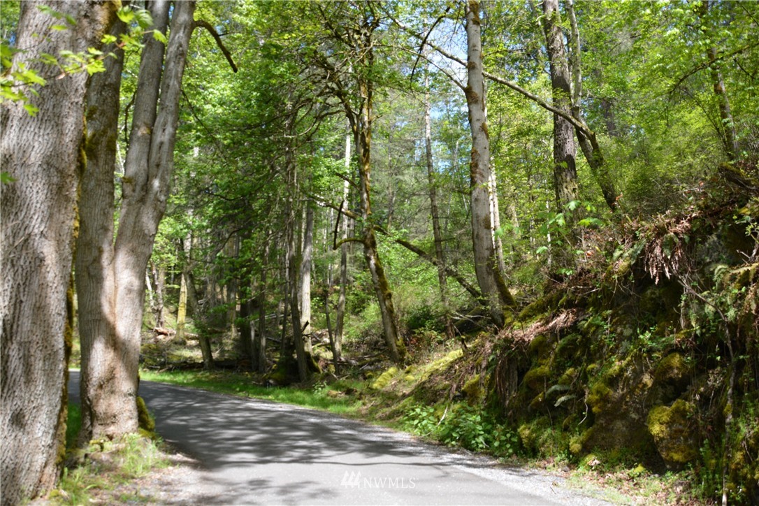 0 Guthrie Cove Road Orcas Island, WA 98280 - Photo 1 of 21 Gallery Image 1