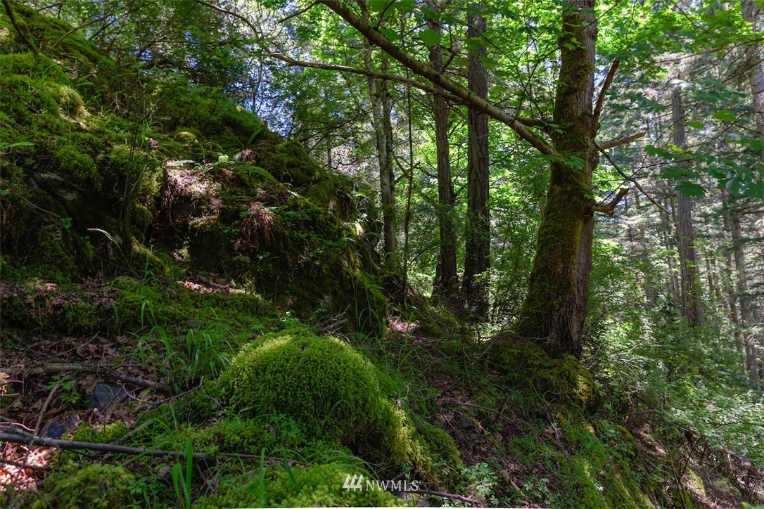 0 Guthrie Cove Road Orcas Island, WA 98280 - Photo 14 of 21 Gallery Image 14