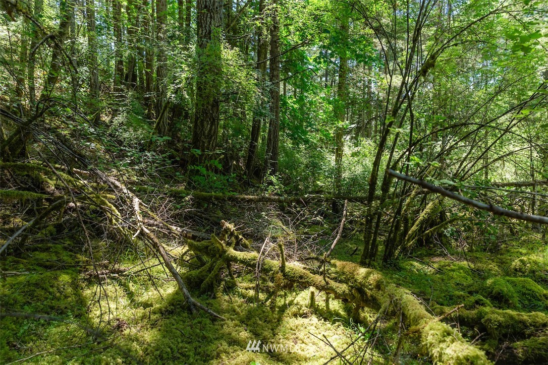 0 Guthrie Cove Road Orcas Island, WA 98280 - Photo 4 of 21 Gallery Image 4