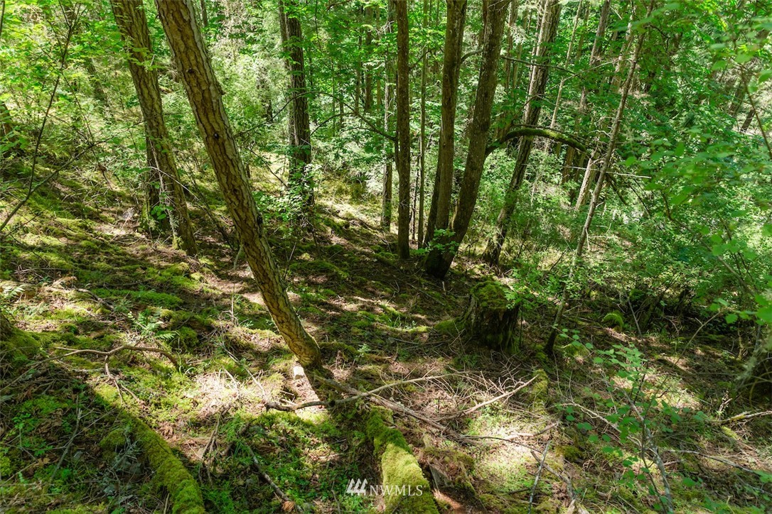 0 Guthrie Cove Road Orcas Island, WA 98280 - Photo 7 of 21 Gallery Image 7