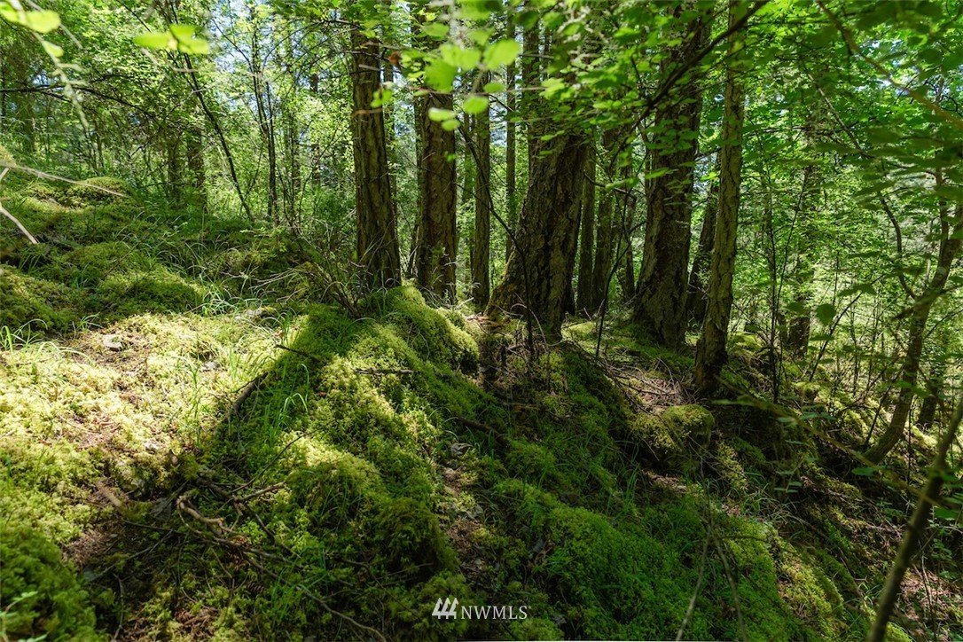 0 Guthrie Cove Road Orcas Island, WA 98280 - Photo 8 of 21 Gallery Image 8