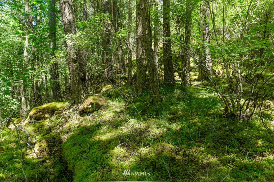 0 Guthrie Cove Road Orcas Island, WA 98280 - Photo 10 of 21 Gallery Image 10
