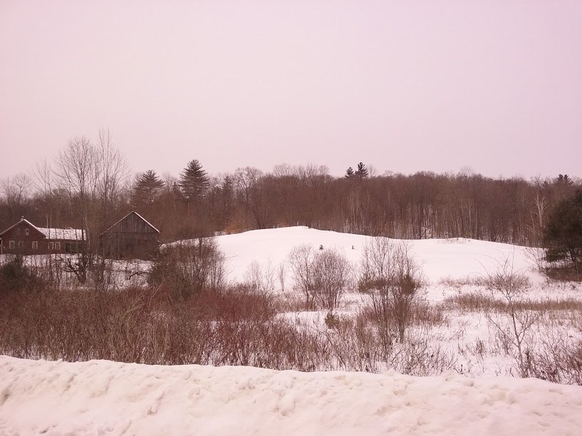 140 Maple Hill Road Strafford, VT 05075 - Photo 3 of 19