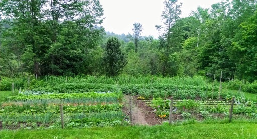140 Maple Hill Road Strafford, VT 05075 - Photo 9 of 19