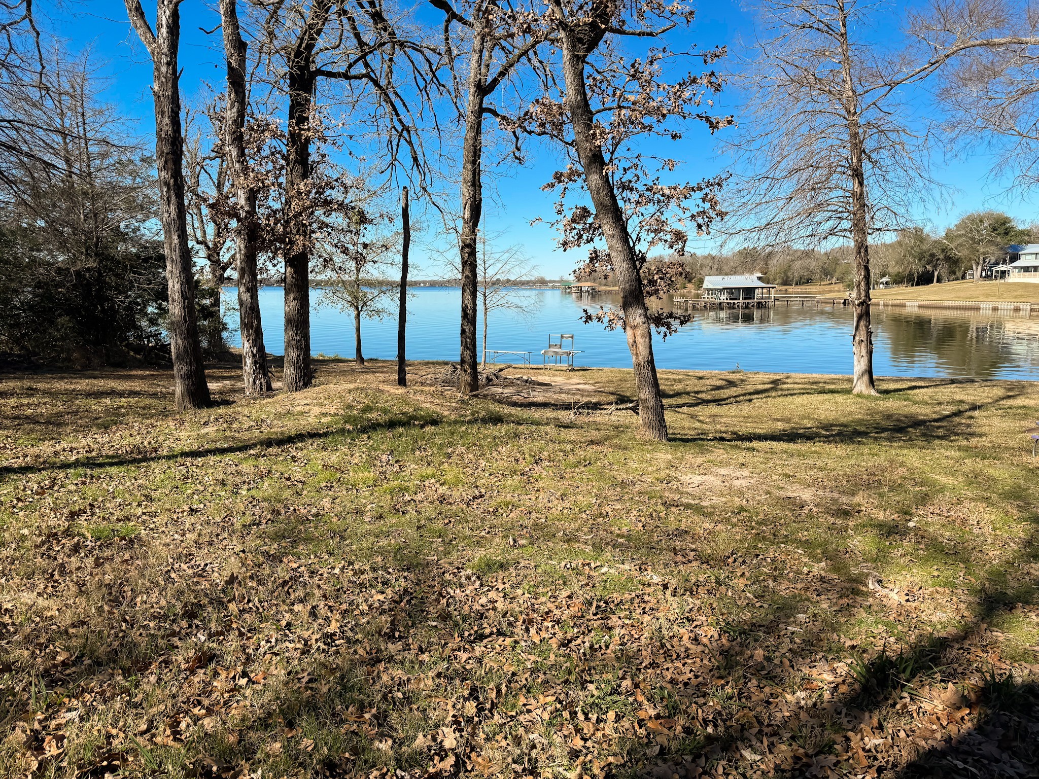 501 Lcr 902 Groesbeck, TX 76642 - Photo 4 of 6 a view of a yard with a tree