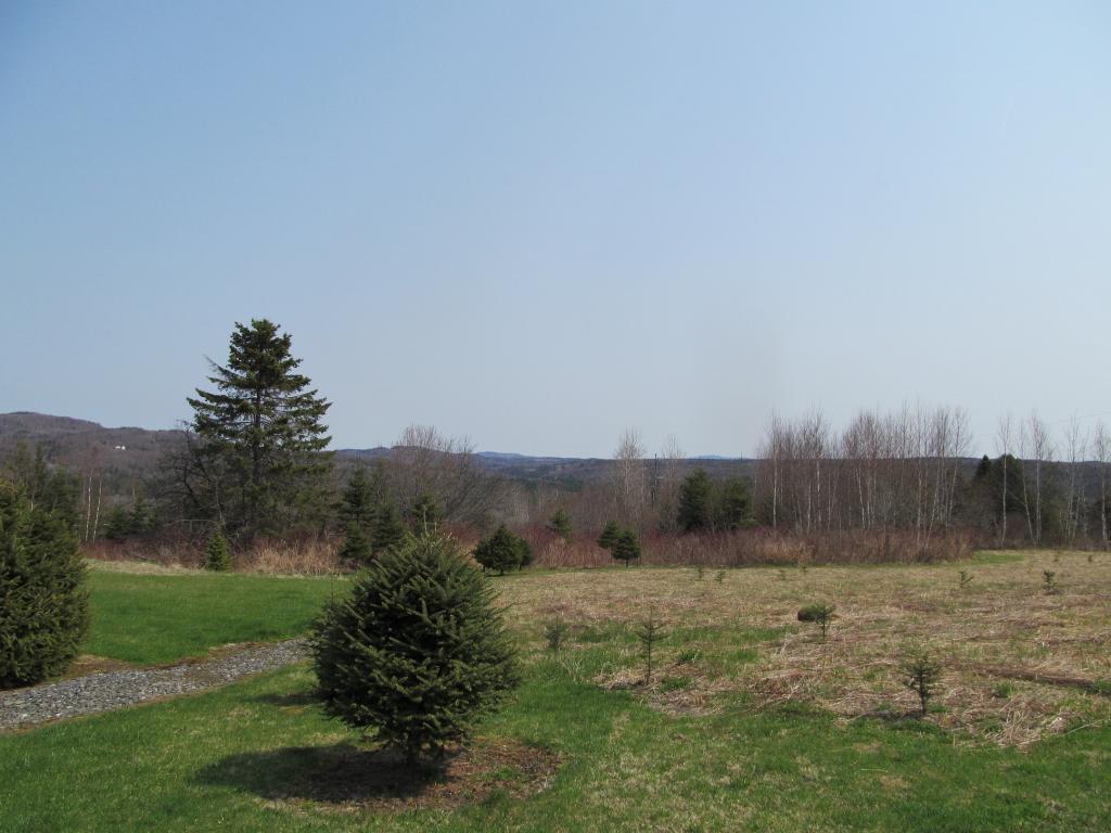 90 Crawford Road Clarksville, NH 03592 - Photo 8 of 25