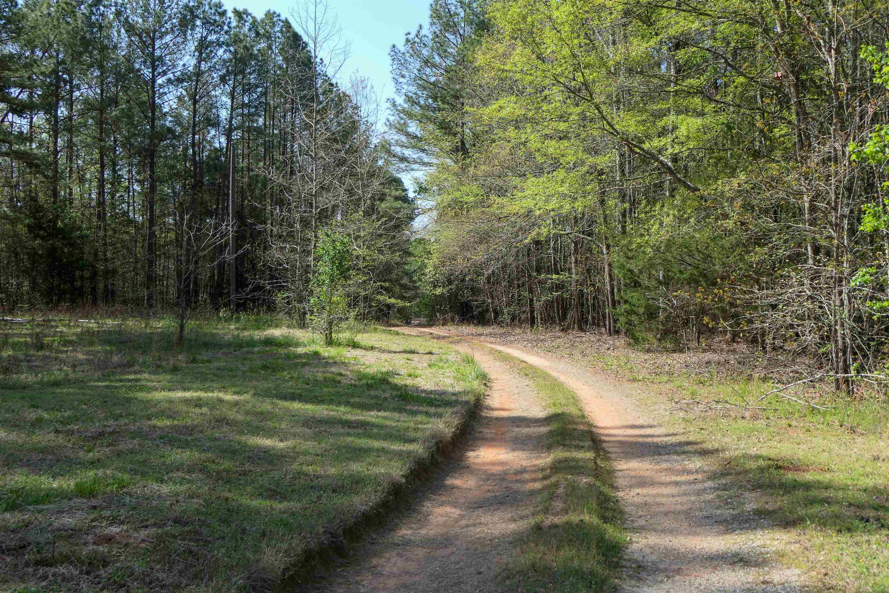 730 Browning Road Enoree, SC 29335 - Photo 2 of 25