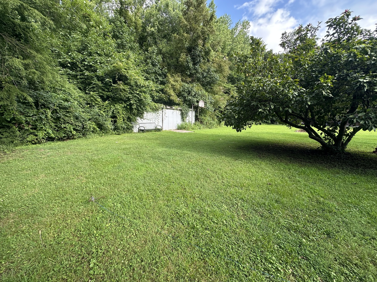 1603 South W Road West Frankfort, IL 62896 - Photo 5 of 22 Gallery Image 5