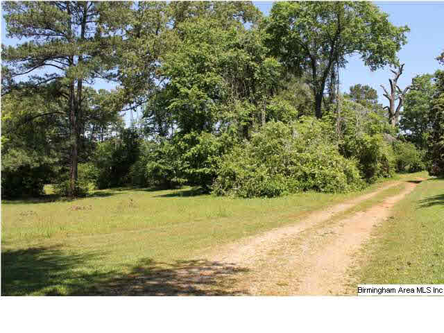 2010 Allison Mill Road Talladega, AL 35160 - Photo 5 of 8