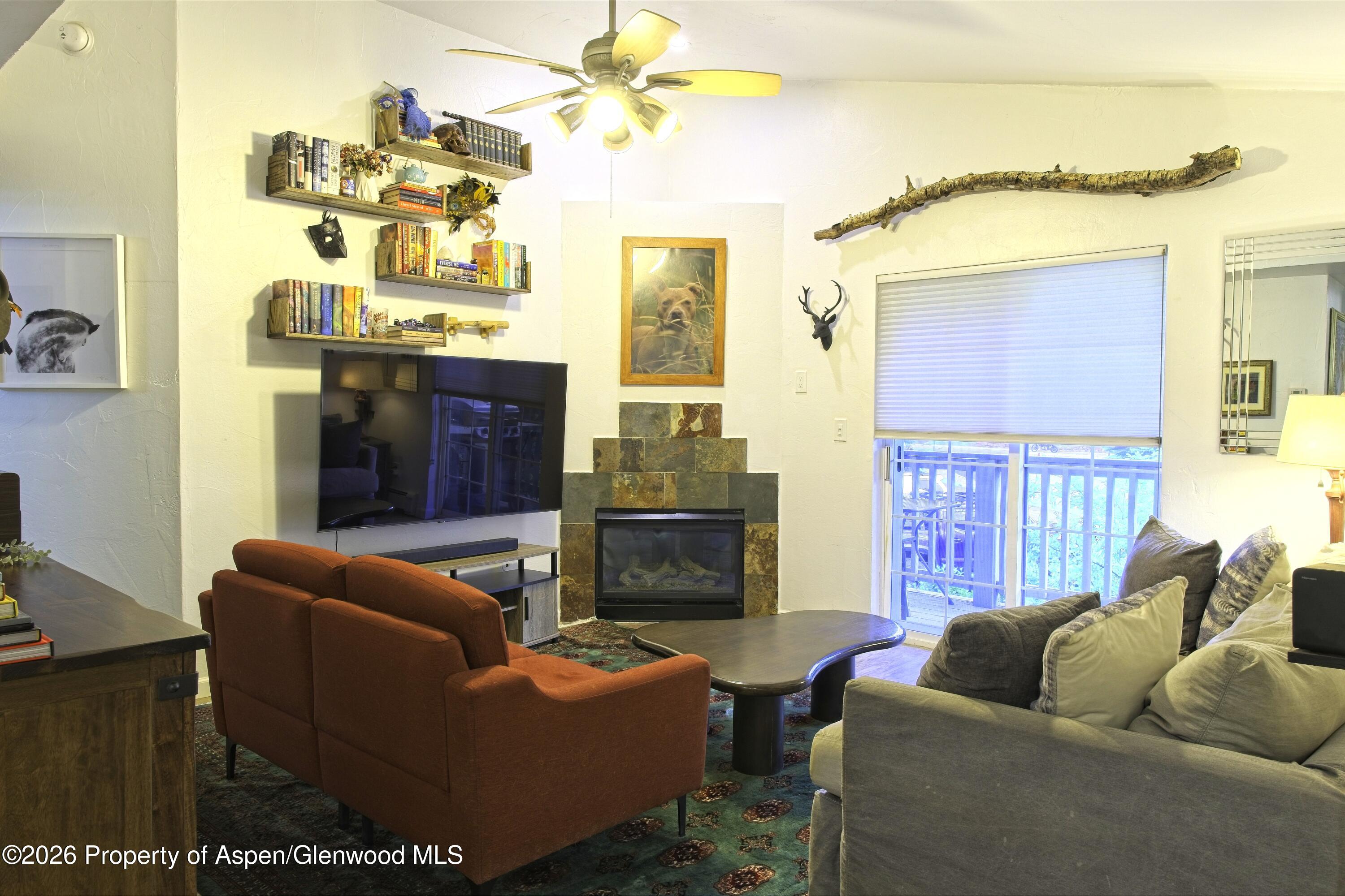 7204 Elk Lane Basalt, CO 81621 - Photo 6 of 15 Living room 1
