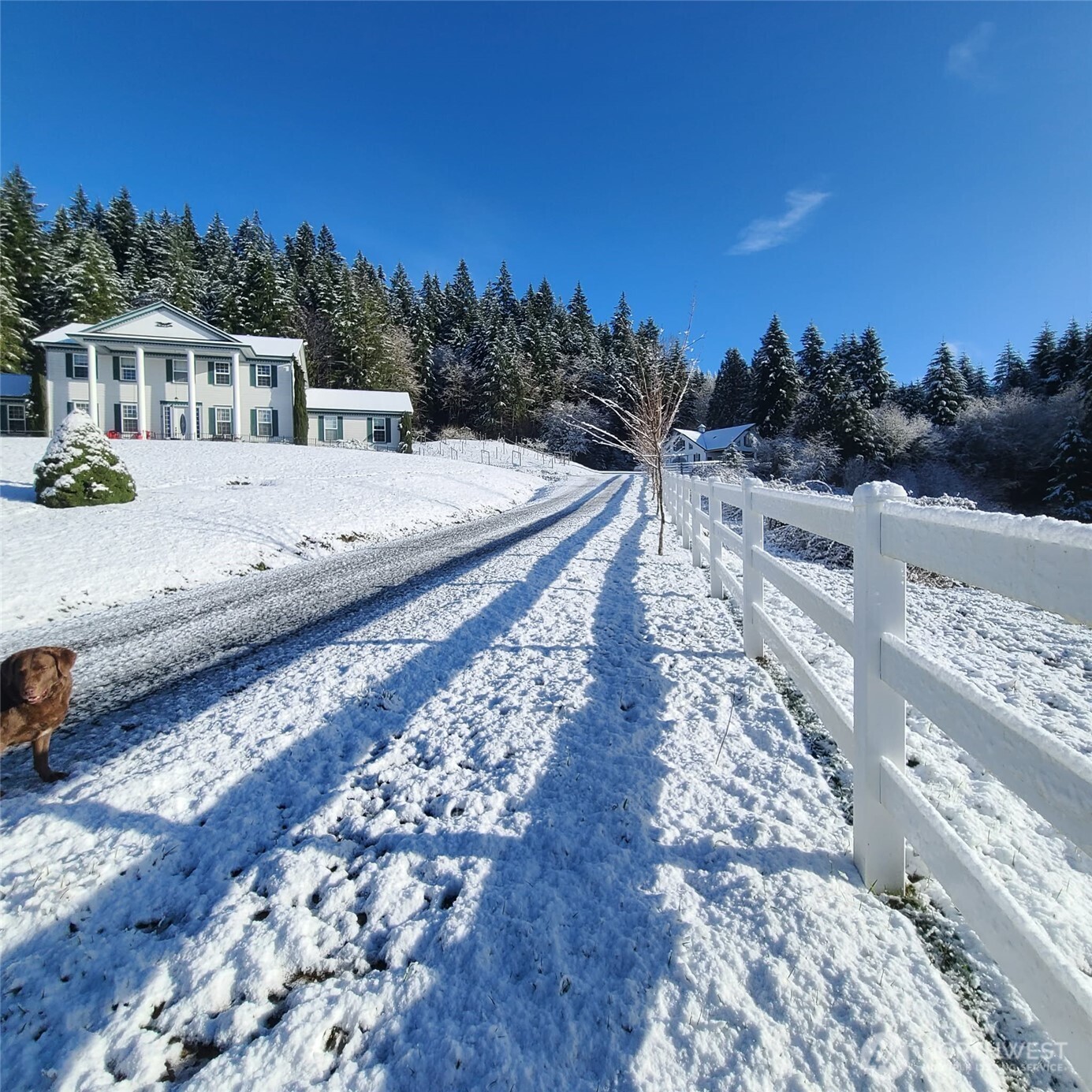 12832 Hunter Road Southwest Rochester, WA 98579 - Photo 2 of 40 a view of a house with a yard