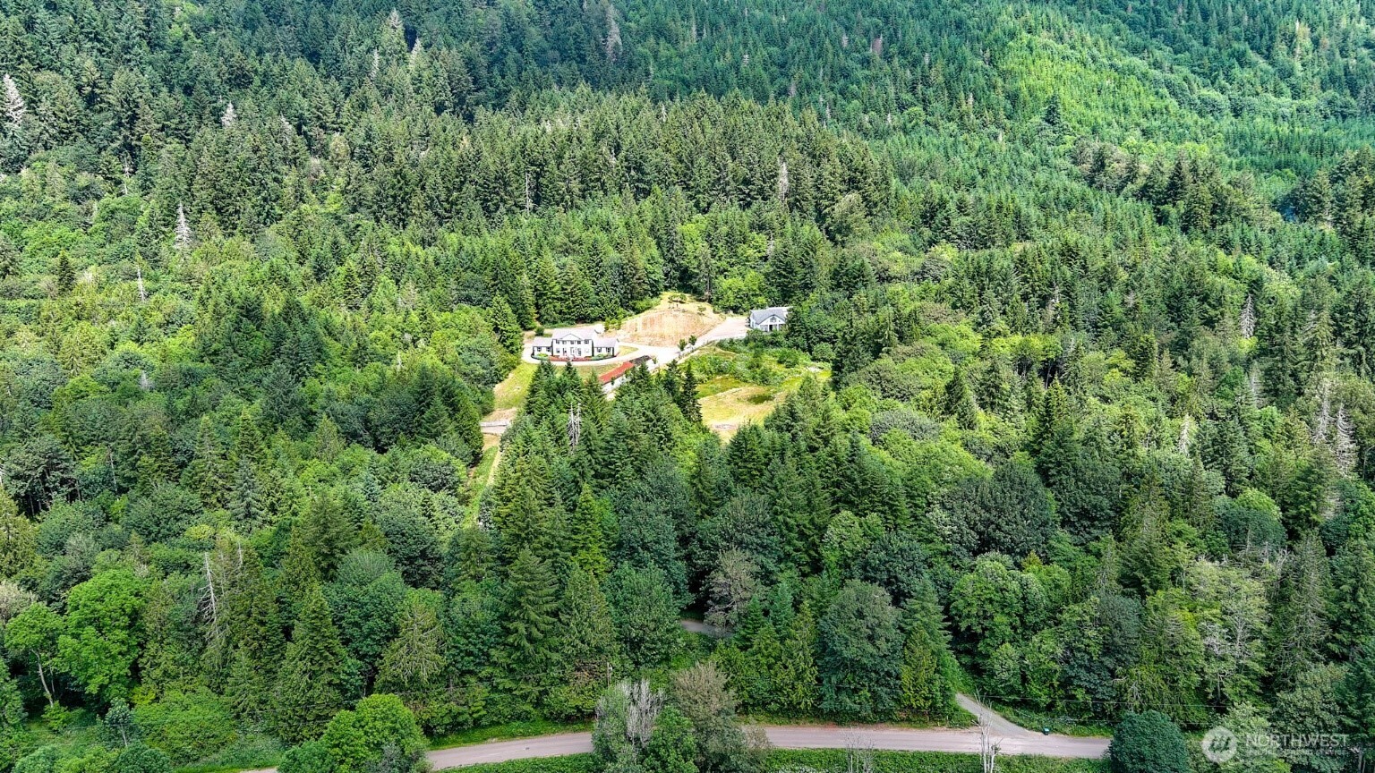 12832 Hunter Road Southwest Rochester, WA 98579 - Photo 33 of 40 a view of a forest with a tree