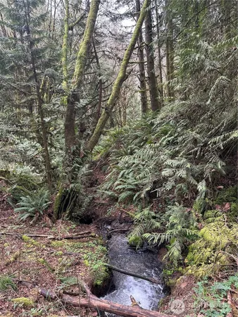 $1,595,000 | 12832 Hunter Road Southwest, Rochester, WA 98579