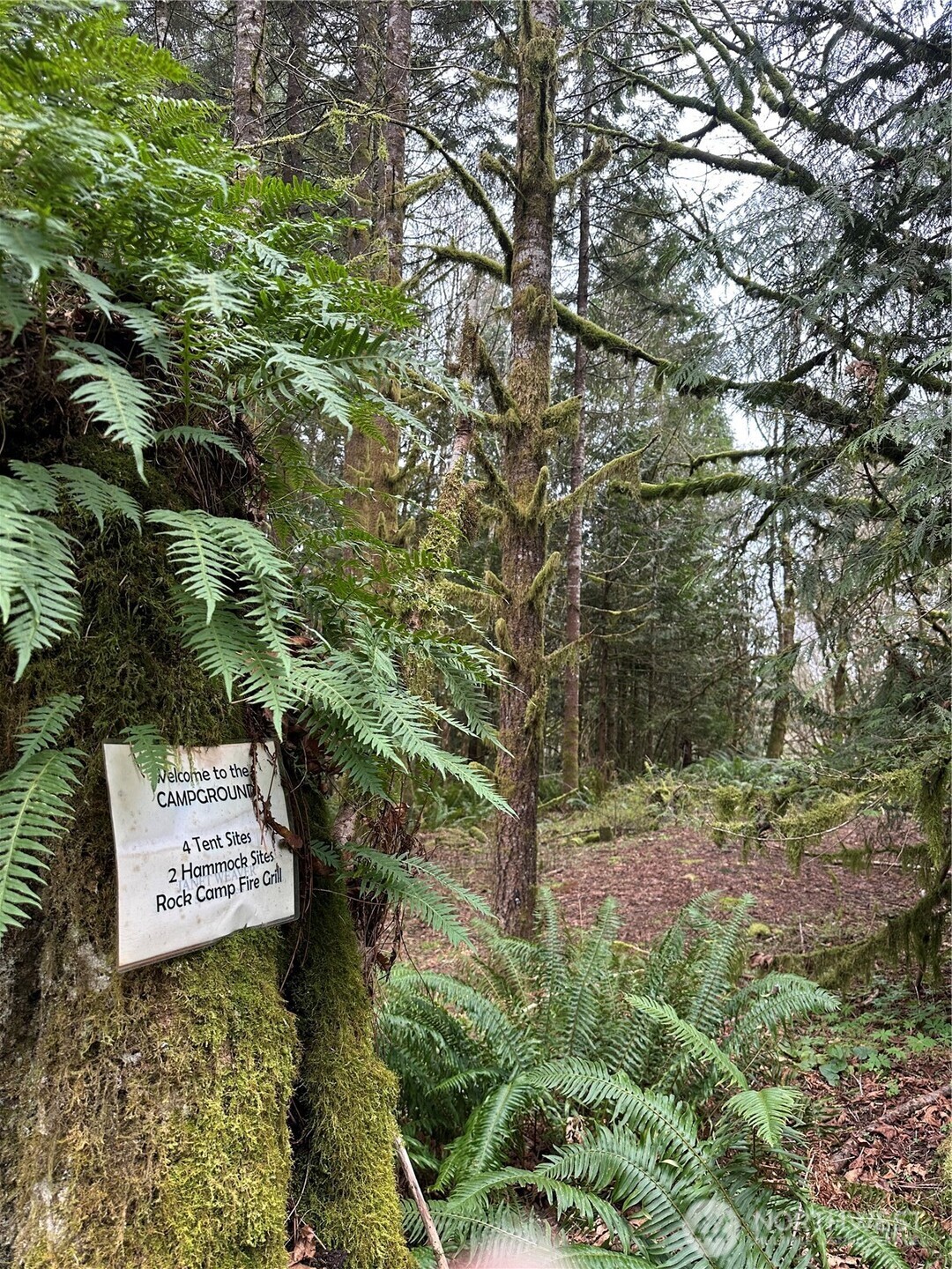 12832 Hunter Road Southwest Rochester, WA 98579 - Photo 37 of 40 a sign that is sitting in a forest