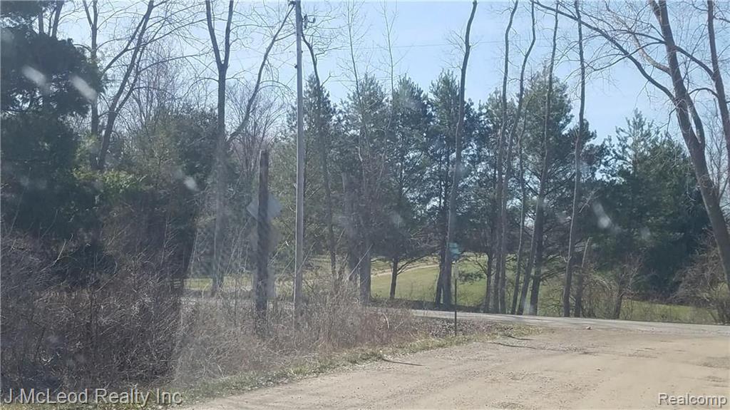 18-20 Duck Pond Road Millington, MI 48746 - Photo 4 of 9 Gallery Image 4