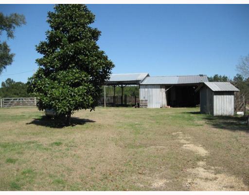 196 A Ed Jones Road Lucedale, MS 39452 - Photo 6 of 8 Additional Photo