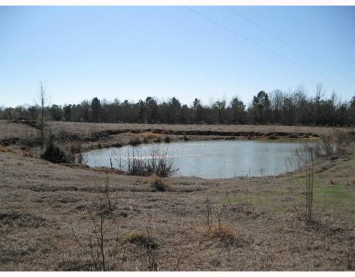 196 A Ed Jones Road Lucedale, MS 39452 - Photo 8 of 8 Additional Photo
