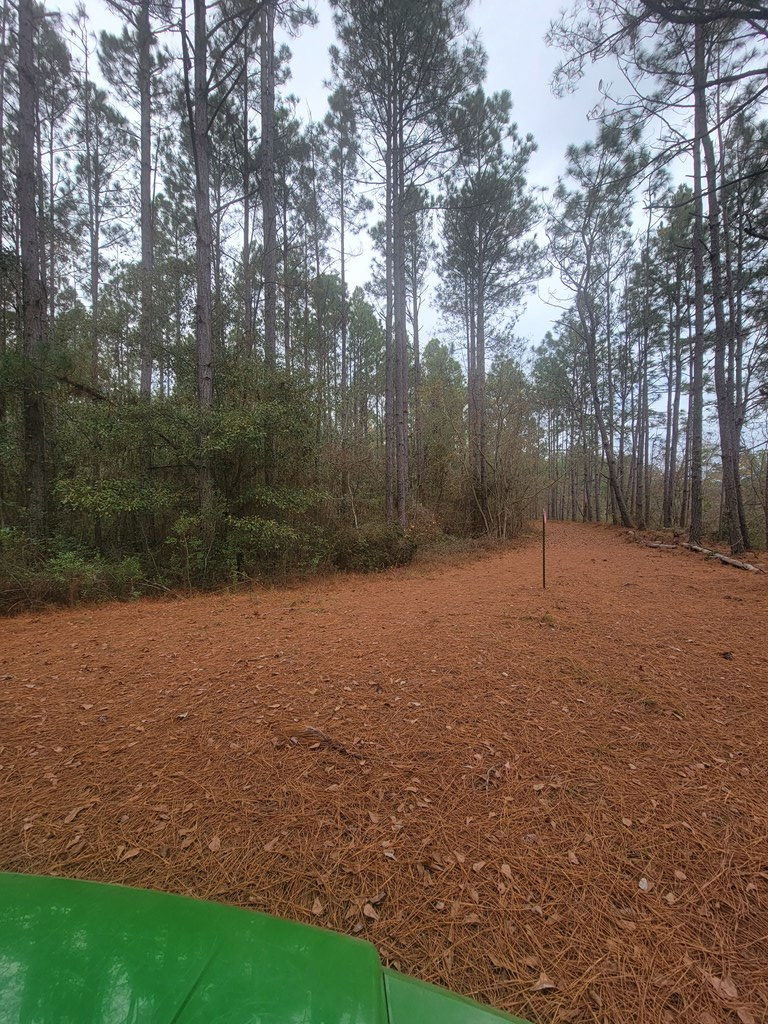 236 Browning Road Adel, GA 31620 - Photo 50 of 66 Gallery Image 50