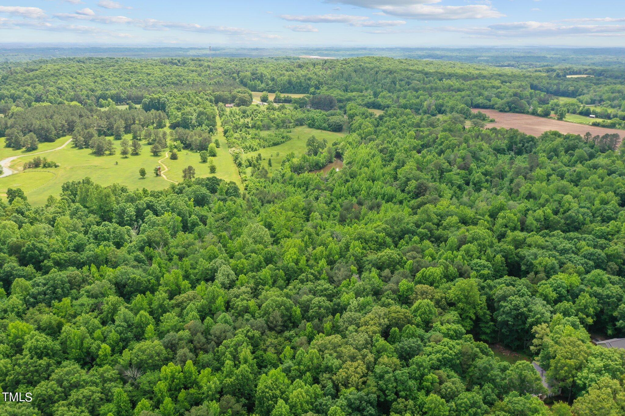 0 Thom Road Mebane, NC 27302 - Photo 7 of 9 Aerial